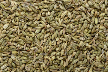 フェンネルシード