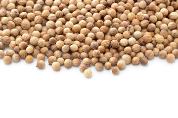 コリアンダーシード