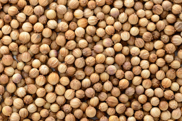 コリアンダーシード