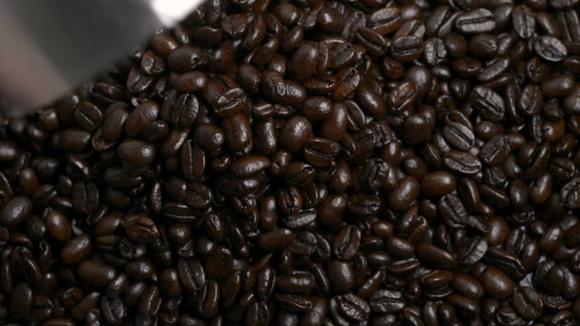 Roasted Coffee beans poured from a metal measuring scoop 2