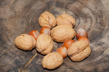 Walnüsse, Haselnüsse, Nüsse, geerntet