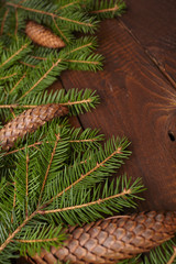 Christmas tree branch, pine cones