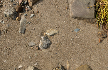 Coastal sand and rock nature background