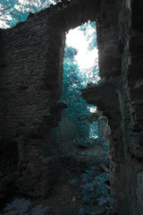 ruins of an old house