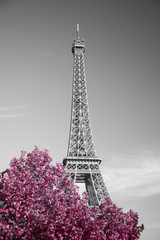 Fototapeta na wymiar infrared photography Eiffel Tower