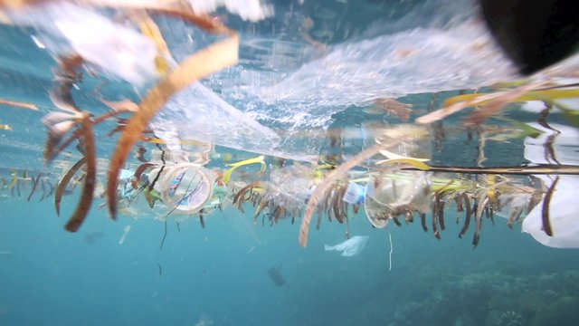 Plastic bags and other trash floating underwater over fragile coral reef in Bunaken Island, Sulawesi 
