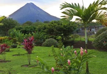 Poster Arenal Volcano and Palm Tree © lightphoto2