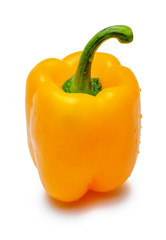 Yellow paprika