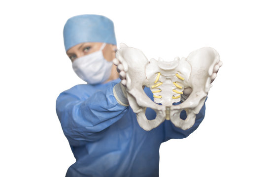 Pelvis in the hands of the surgeon