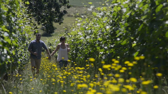Couple holds hands as they walk up a row in a Vineyard, holding glasses of wine