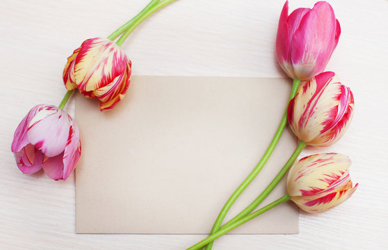 Bouquet of red tulips on white background with space for text
