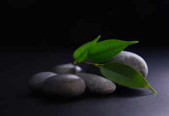 Pebbles with leaf on black background