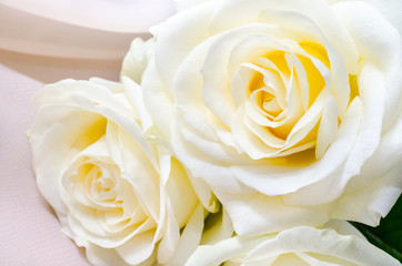 Bouquet of white roses