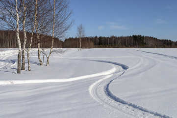 Fototapeta na wymiar Birch trees and snow field on the village outskirts