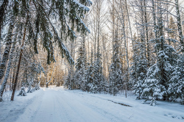 beautiful winter landscape with road and snow-covered trees