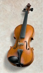 Obraz na płótnie Canvas Violin.