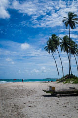 Beach of Carneiros, Tamandar?-Pernambuco
