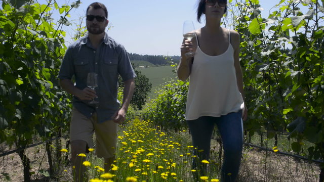 Couple holds hands as they walk up a row, past the camera, in a Vineyard while holding glasses of wine