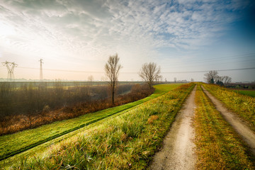 Naklejka premium country road in foggy countryside
