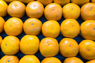 Oranges at the market