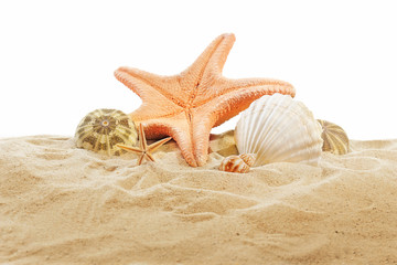 Fototapeta na wymiar Sea star and shells on sand isolated on white background
