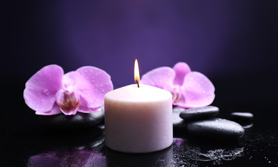 Fototapeta na wymiar Composition of orchid, pebbles and candle on dark background