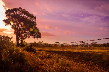 Foto op Plexiglas Agricultural landscape, Barbed fence paddock in Australian outba © mastersky