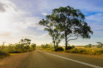 Rural road in Australian Outback