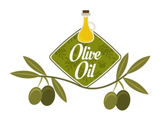olive oil design