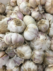 Fresh garlic