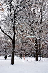 Fototapeta premium Boston Winter..