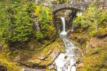 Cristian fall scene when autumn in mt.Rainier National park