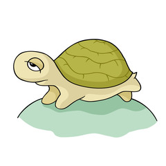 Cartoon cute character turtle.Sea tortoise with sad eyes standing.  Hand-drawn vector illustration isolated on white.