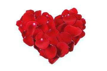 red heart shape by red rose petals