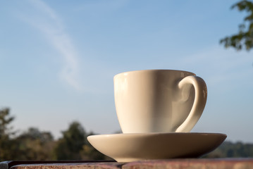My Cup