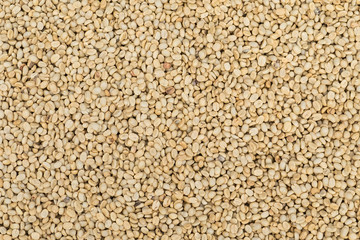 green unroasted coffee beans, top view