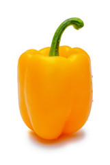 Yellow paprika