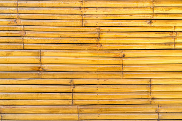 bamboo background