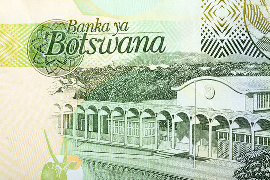 Detail of 10 Botswana Pula banknote