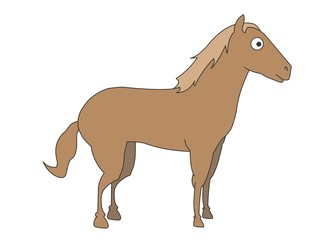 cooltree1512_동물캐릭터_ 말