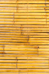 bamboo background