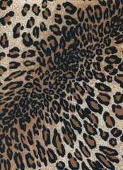 Leopard skins