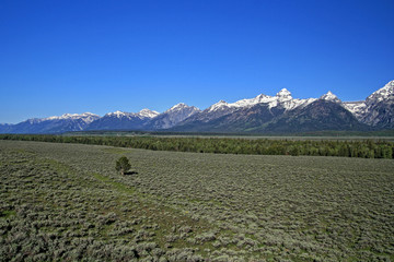 Grand Tetons mountain range in Grand Tetons National Park in Wyoming USA during the spring