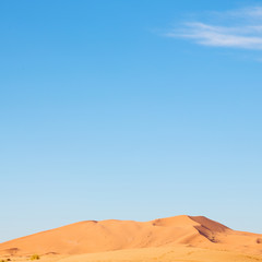 Fototapeta na wymiar sunshine in the desert of morocco sand and dune