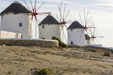 Four windmills in Chora,Mykonos,Greece.Traditional greek whitewashed architecture,a popular landmark,tourist destination on the island of winds,deep blue sky,Aegean sea. Wind mills are now decorative.