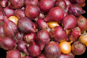 Onion 20