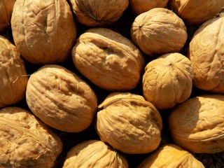 Walnuts in nutshell texture