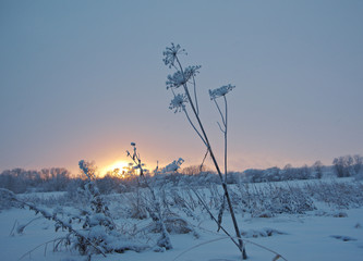 snowfall Winter landscape.