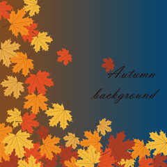 Naklejka na ściany i meble Autumn background with maple leaves. Vector