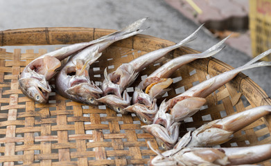  dried fish